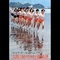 "One, Two, Attack! - Let's go Munchen!" - TOKYO 12 CHANNEL, 1971